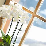 Apartmán Kendlhof Sankt Johann im Pongau