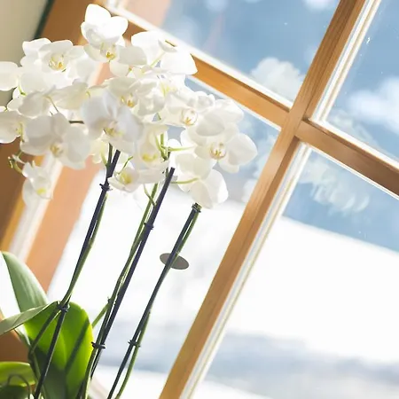 Apartment Kendlhof Sankt Johann im Pongau