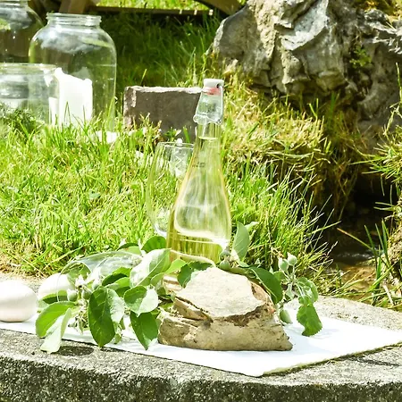 Kendlhof Apartment *