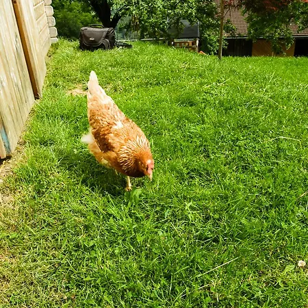 Appartamento Kendlhof