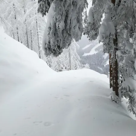Kendlhof * Sankt Johann im Pongau