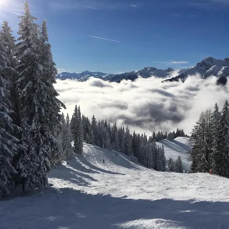 Apartment Kendlhof *