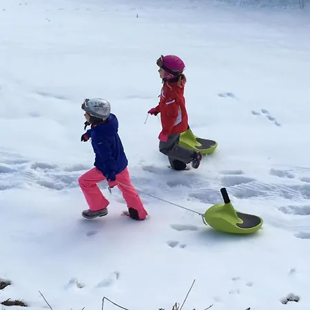 Apartment Kendlhof *